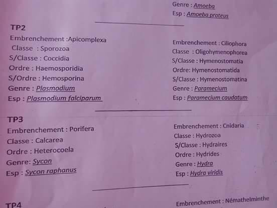 tp de zoologie 2 et 3 (classification des especes) 2016-univ mentouri constantine.jpg