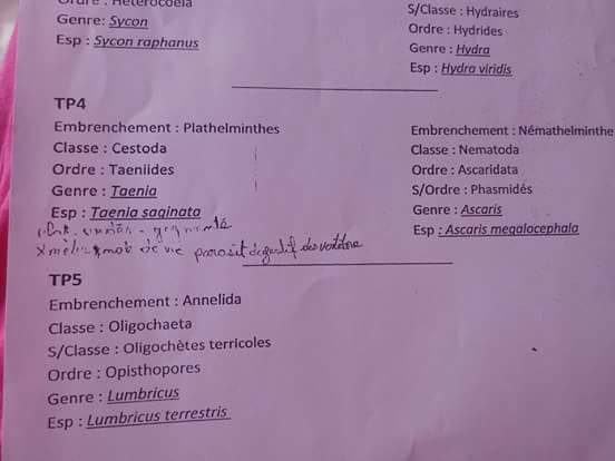 tp de zoologie 4 et 5 (classification des especes) 2016-univ mentouri constantine.jpg