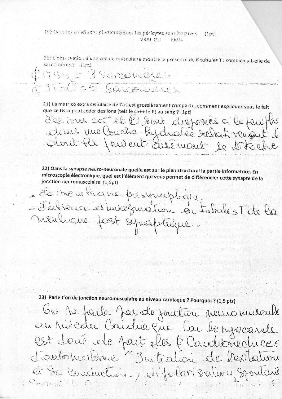 www.espace-etudiant.net -  histo exam 1ere année2.jpg