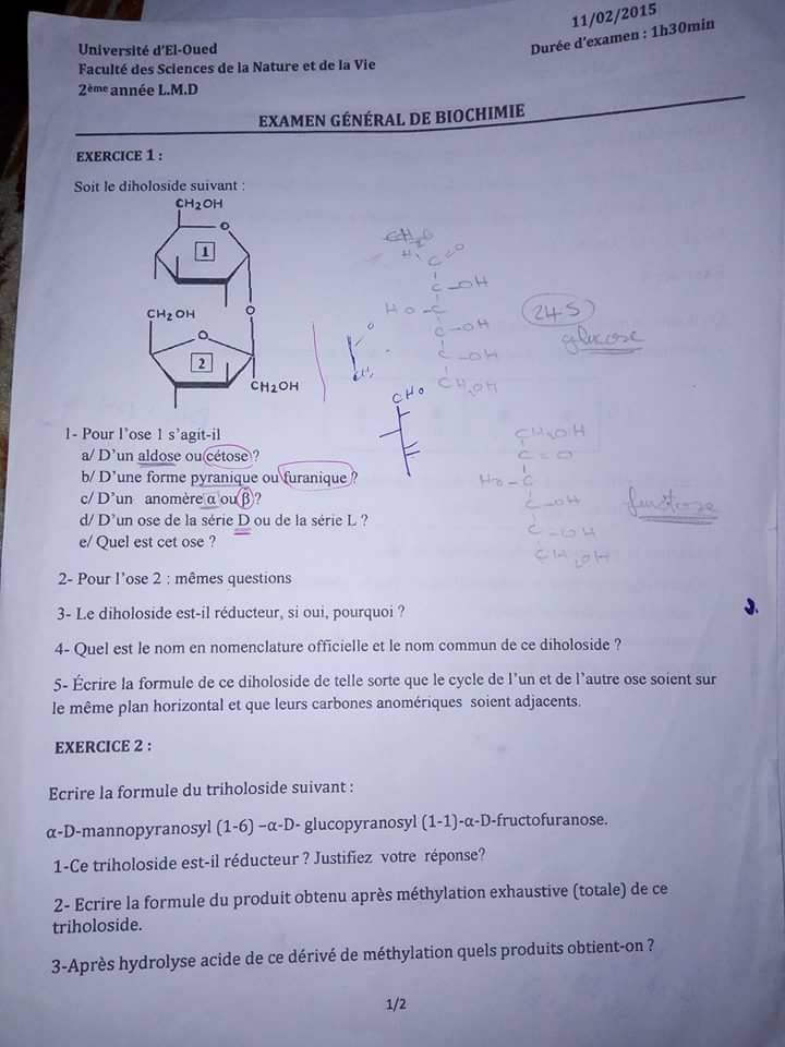 examen general de biochimie 2015-univ Eloued.jpg