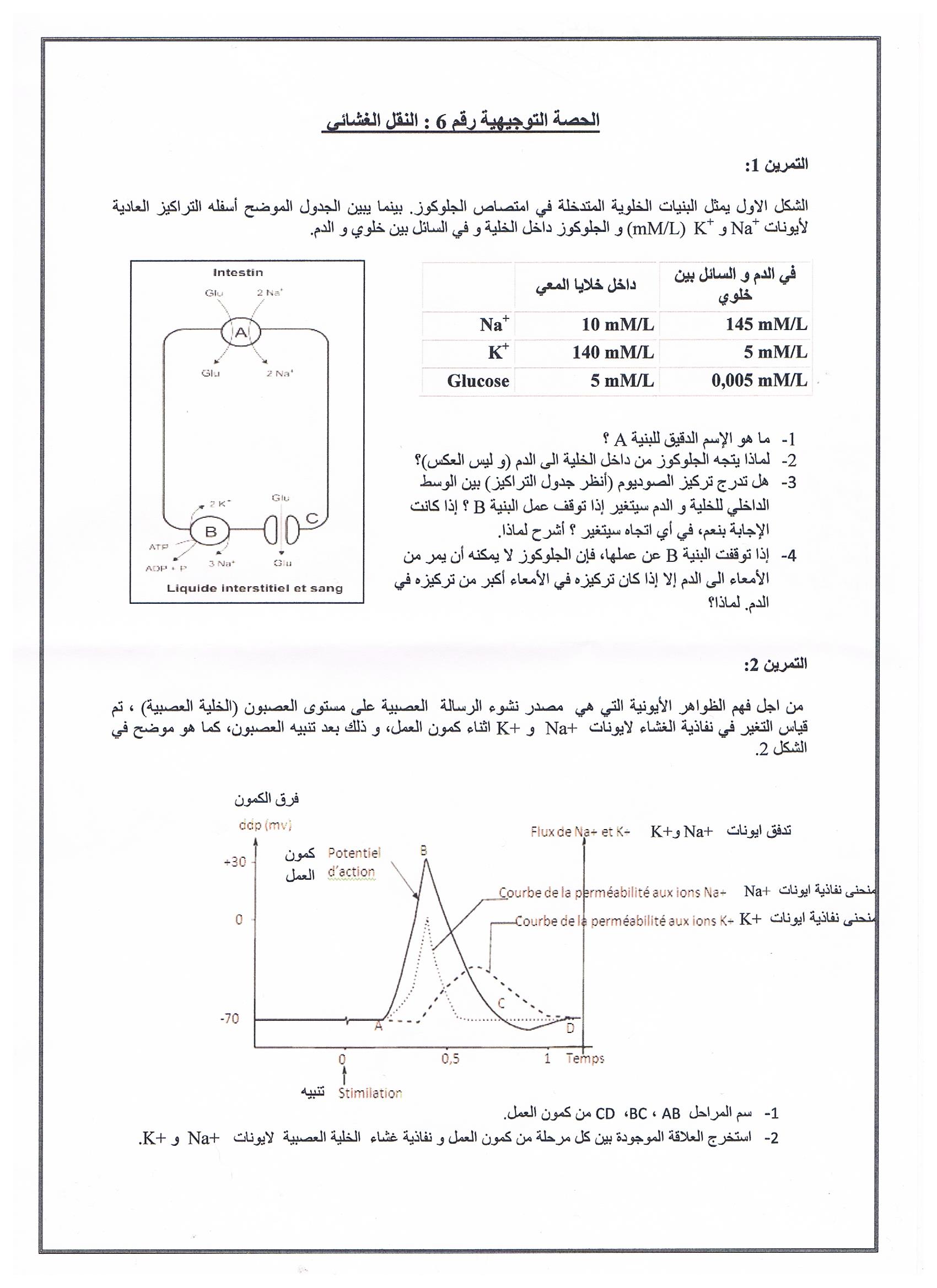 النقل الغشائي.jpg