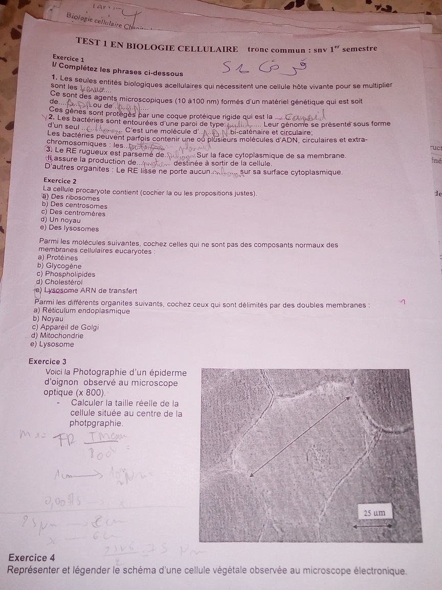 espace-etudiant.net - test td biologie.jpg